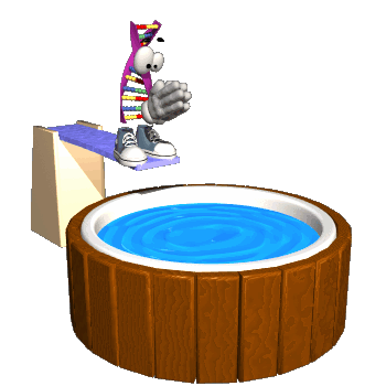 piscina 2.jpg - 279.00 Kb